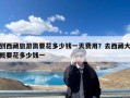 到西藏旅游需要花多少钱一天费用？去西藏大概要花多少钱一