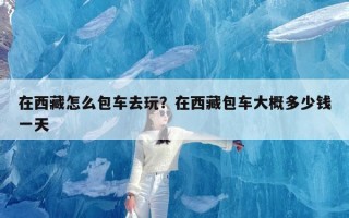 在西藏怎么包车去玩？在西藏包车大概多少钱一天