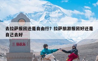 去拉萨报团还是自由行？拉萨旅游报团好还是自己去好