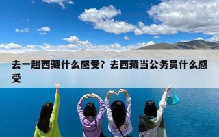 去一趟西藏什么感受？去西藏当公务员什么感受