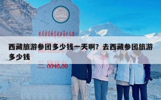 西藏旅游参团多少钱一天啊？去西藏参团旅游多少钱