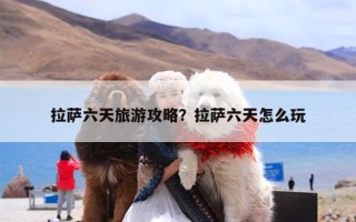 拉萨六天旅游攻略？拉萨六天怎么玩