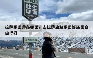 拉萨跟团游在哪里？去拉萨旅游跟团好还是自由行好