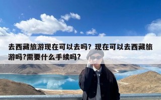 去西藏旅游现在可以去吗？现在可以去西藏旅游吗?需要什么手续吗?