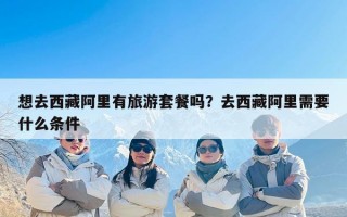 想去西藏阿里有旅游套餐吗？去西藏阿里需要什么条件