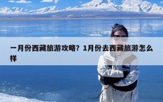 一月份西藏旅游攻略？1月份去西藏旅游怎么样