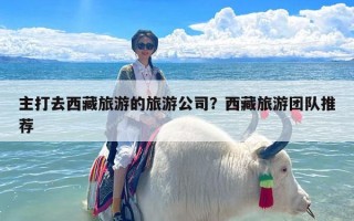 主打去西藏旅游的旅游公司？西藏旅游团队推荐