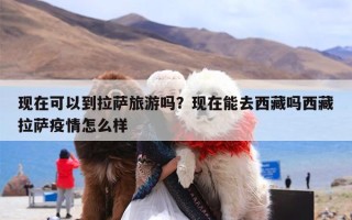 现在可以到拉萨旅游吗？现在能去西藏吗西藏拉萨疫情怎么样