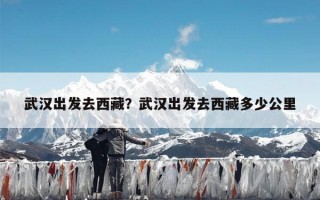 武汉出发去西藏？武汉出发去西藏多少公里