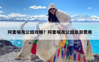 阿里暗夜公园攻略？阿里暗夜公园旅游费用