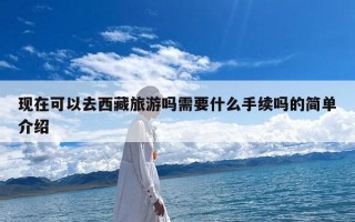 现在可以去西藏旅游吗需要什么手续吗的简单介绍