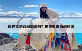 现在能到西藏旅游吗？现在能去西藏旅游