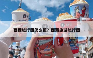 西藏旅行团怎么报？西藏旅游旅行团