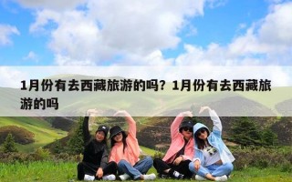 1月份有去西藏旅游的吗？1月份有去西藏旅游的吗