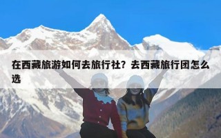 在西藏旅游如何去旅行社？去西藏旅行团怎么选