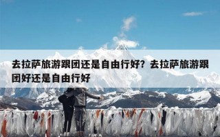 去拉萨旅游跟团还是自由行好？去拉萨旅游跟团好还是自由行好