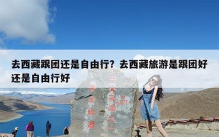 去西藏跟团还是自由行？去西藏旅游是跟团好还是自由行好