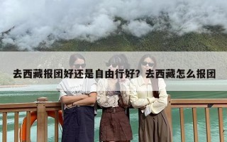 去西藏报团好还是自由行好？去西藏怎么报团