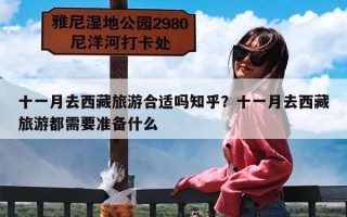 十一月去西藏旅游合适吗知乎？十一月去西藏旅游都需要准备什么